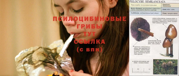 тгк Вязники